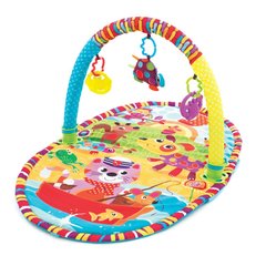 Развивающий коврик Playgro Игры в парке, 15422, Разноцветный